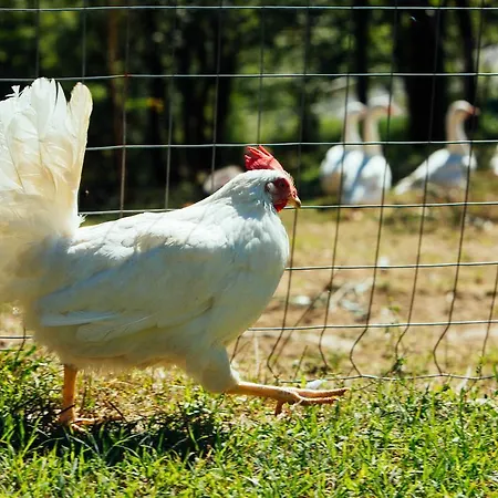 La Coccinella Séjour à la ferme *
