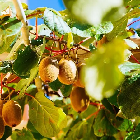 Agriturismo La Coccinella * Valfabbrica