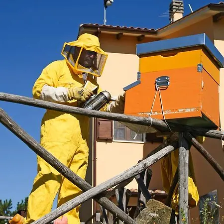 Agroturismo La Coccinella