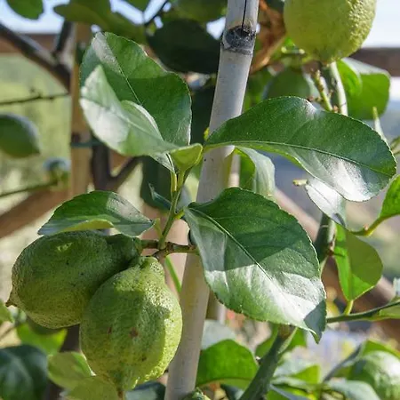 La Coccinella Agroturismo Valfabbrica