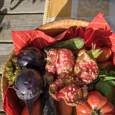 La Coccinella Valfabbrica