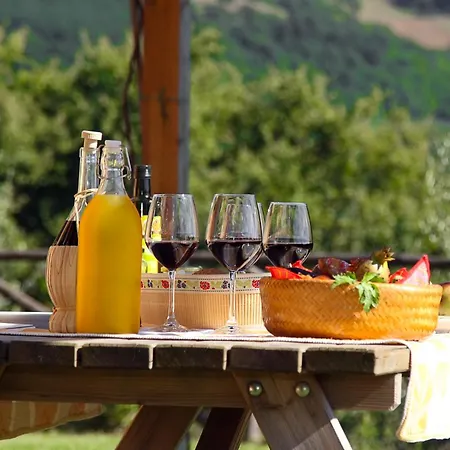 Agriturismo La Coccinella * Valfabbrica