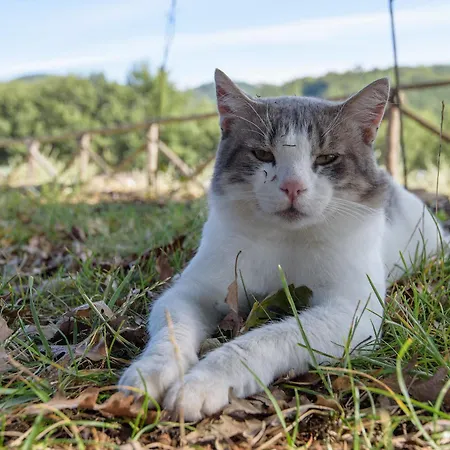 Agroturismo La Coccinella *